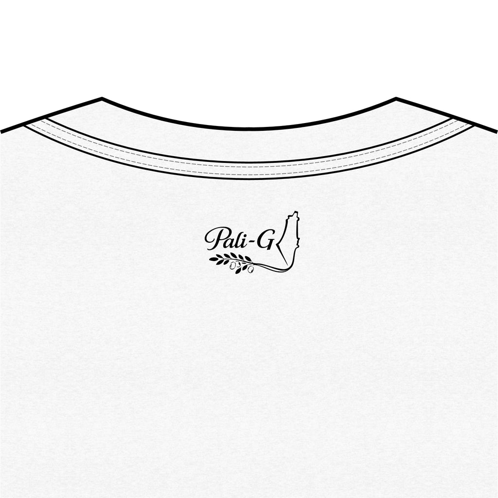 Pali-G | Palestinian Tatreez V-Neck Tee – Traditional Embroidery Art Print | Women's Cultural Heritage T-Shirt | Tatreez Fashion
