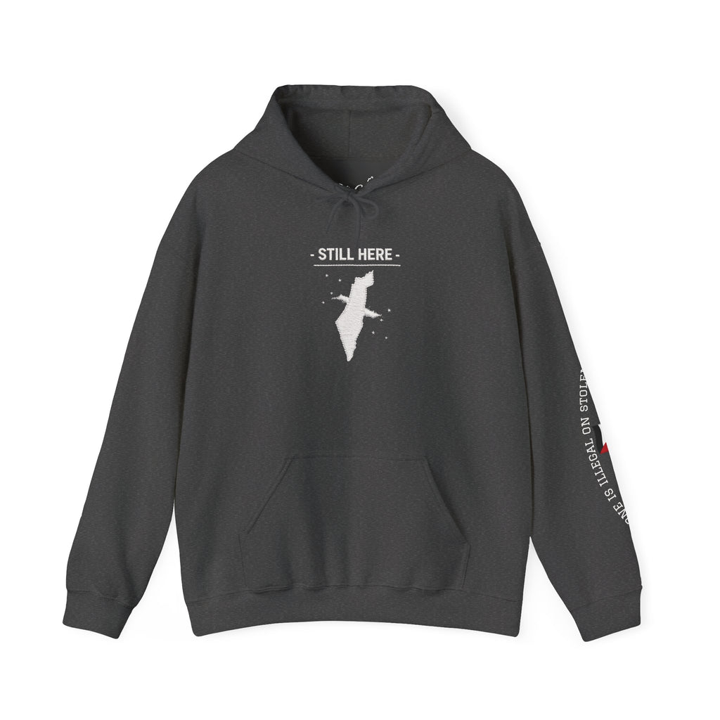Pali-G Heritage Hoodie – Palästina