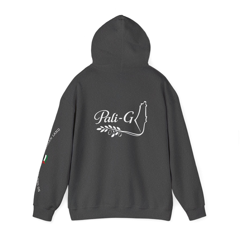 Pali-G Heritage Hoodie – Palästina