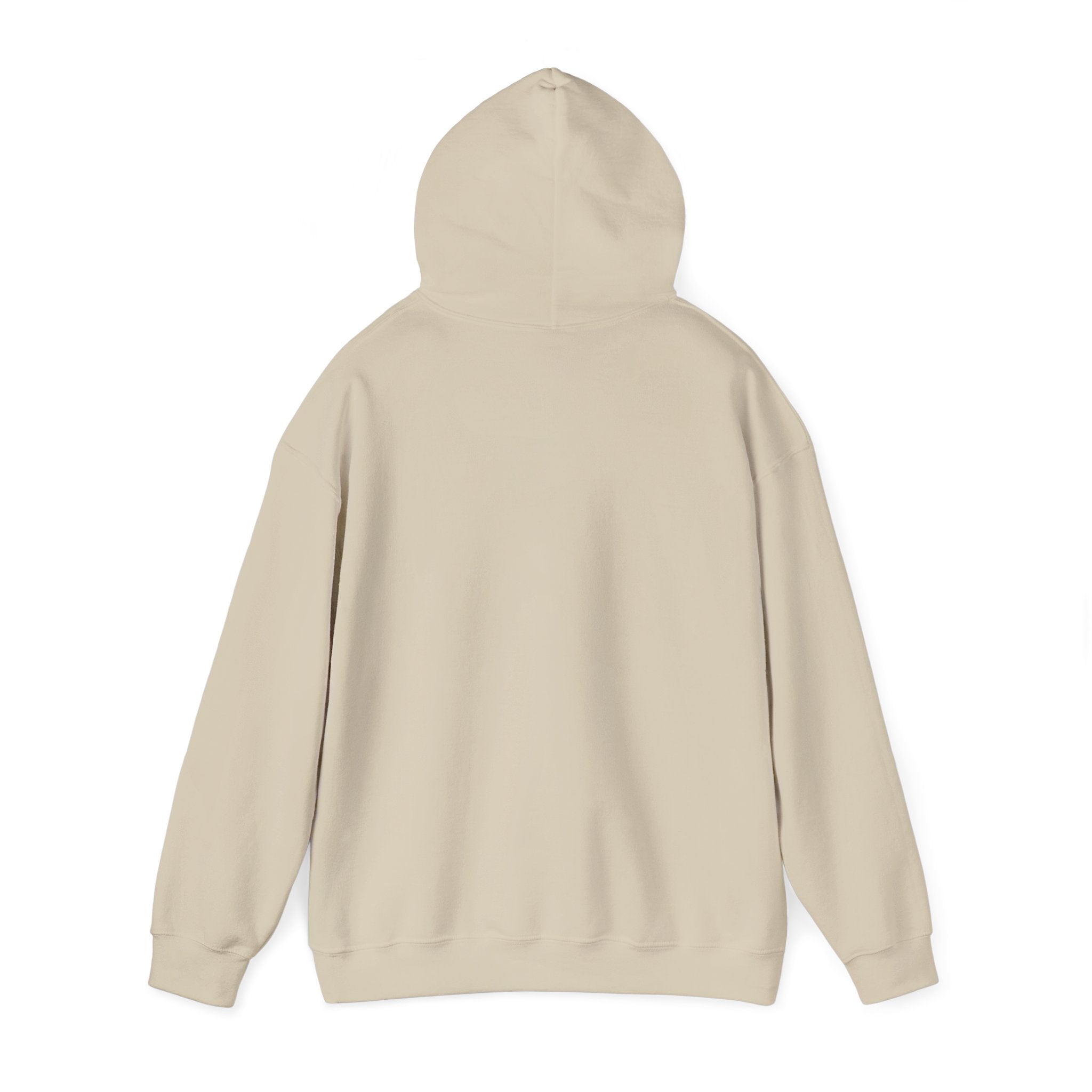 Hot Days Cool Chapters Hoodie | summer aesthetic, coastal vibes