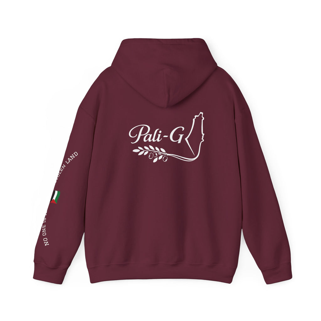 Pali-G Heritage Hoodie – Palästina
