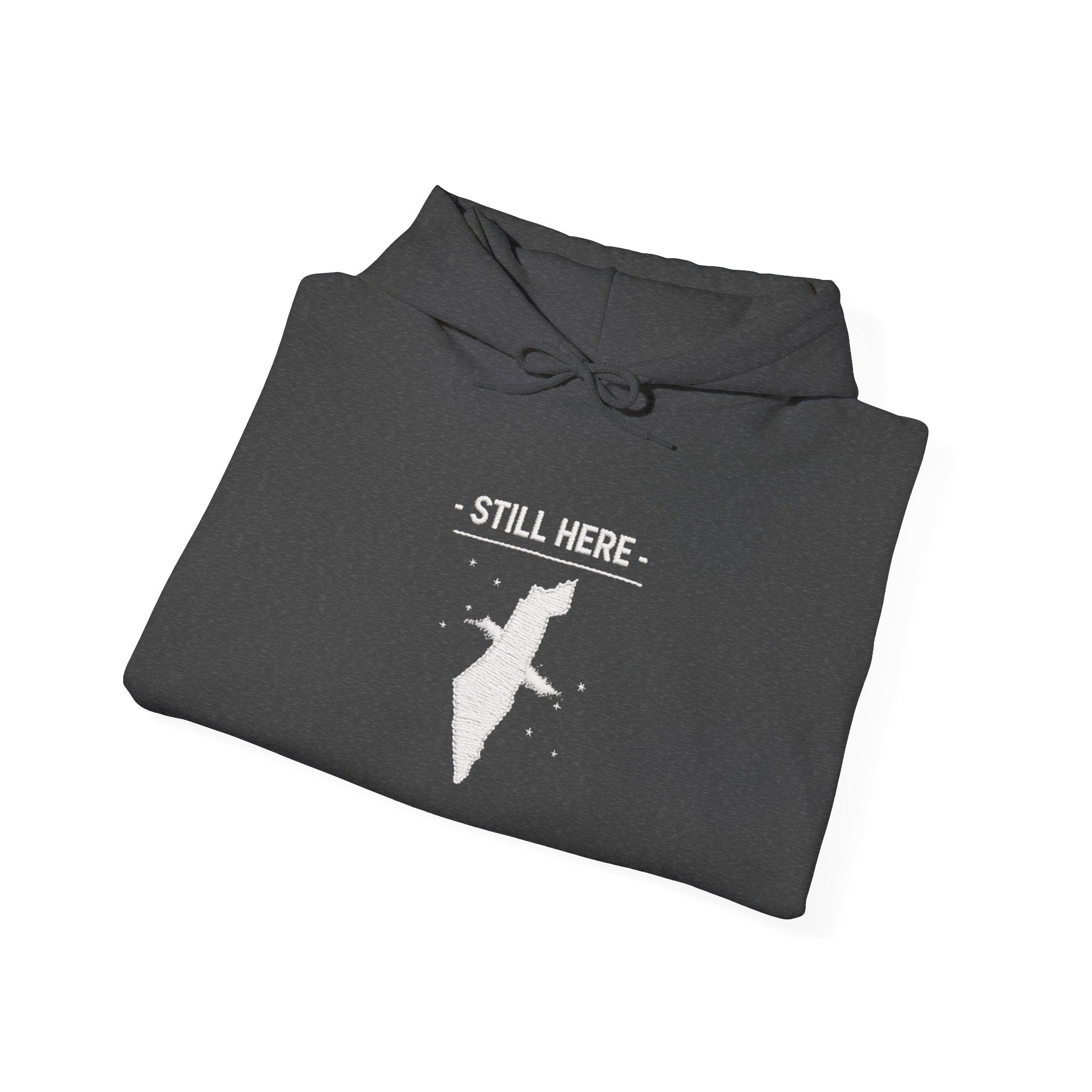 Pali-G Heritage Hoodie – Palästina