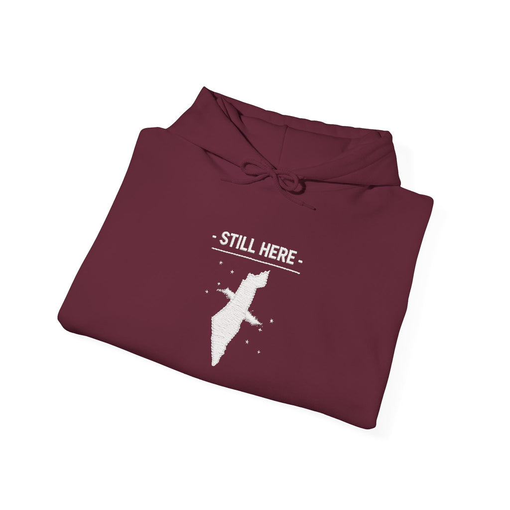 Pali-G Heritage Hoodie – Palästina