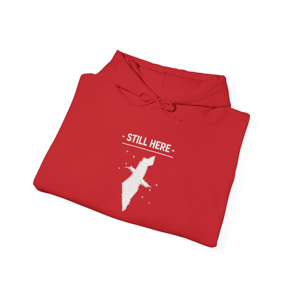 Pali-G Heritage Hoodie – Palästina