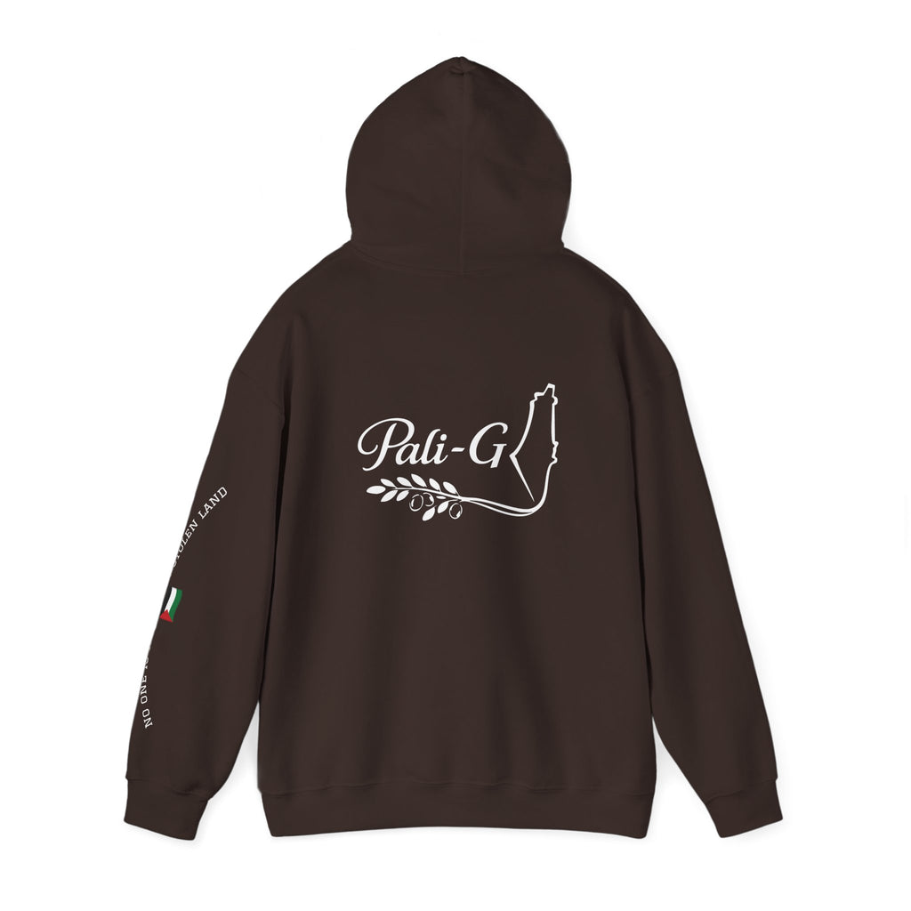 Pali-G Heritage Hoodie – Palästina