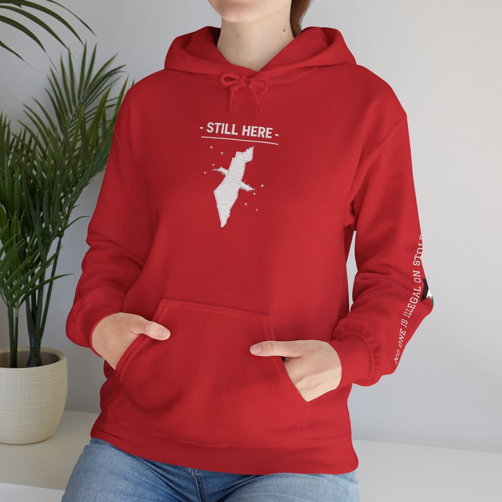Pali-G Heritage Hoodie – Palästina