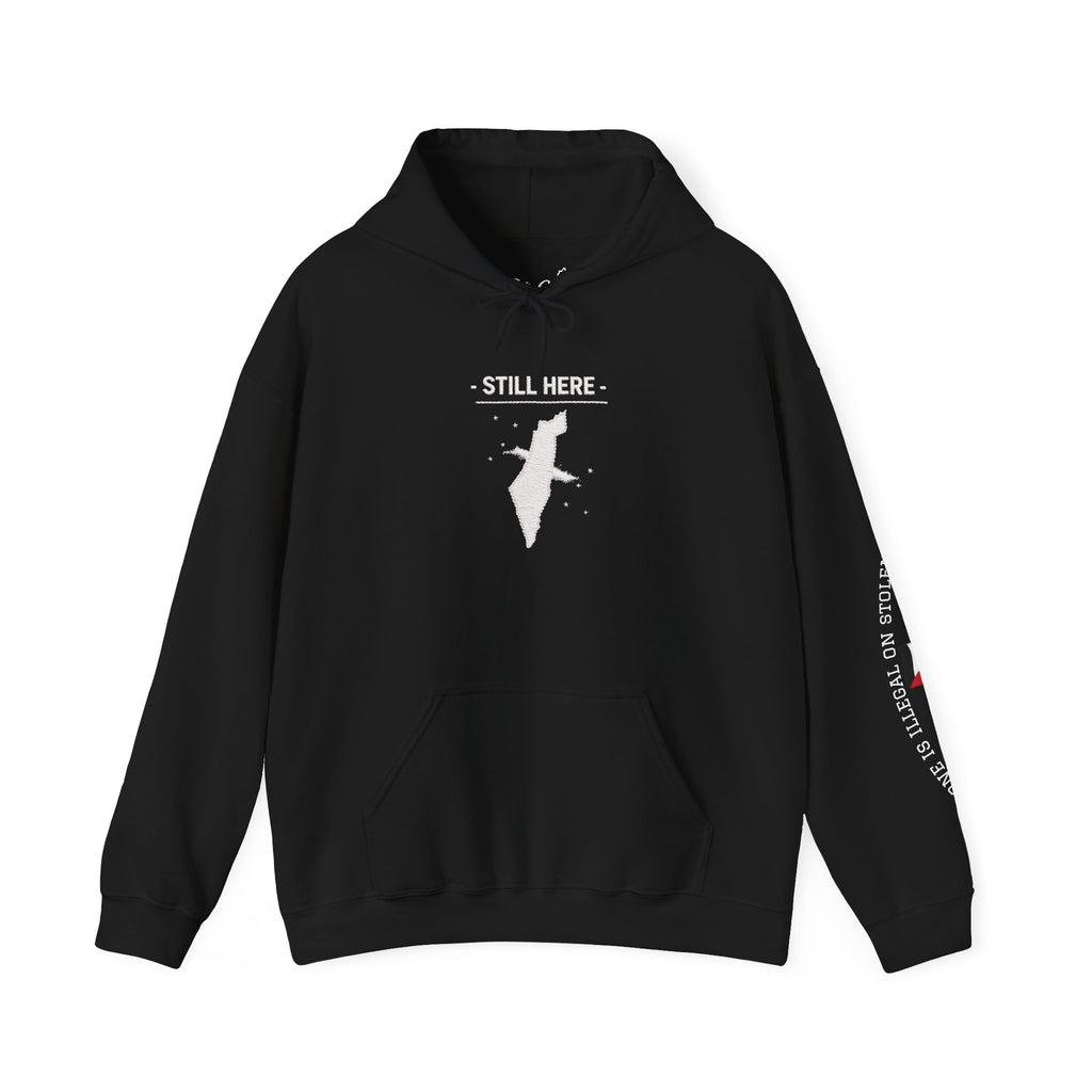 Pali-G Heritage Hoodie – Palästina